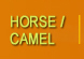 HorseCamel